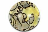 Eye-Eatching Polished Septarian Dish - Madagascar #371703-1